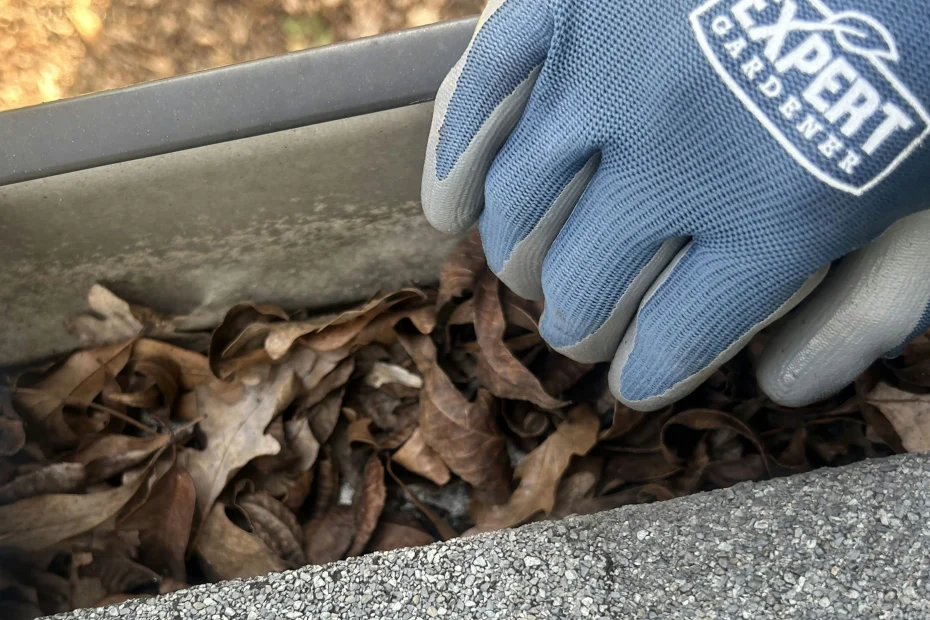 Gutter Cleaning Appomattox