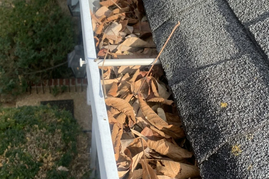 Gutter Cleaning Appomattox