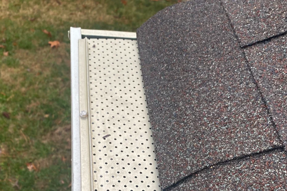 Gutter Cleaning Appomattox