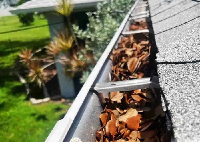 Gutter Cleaning Appomattox home page